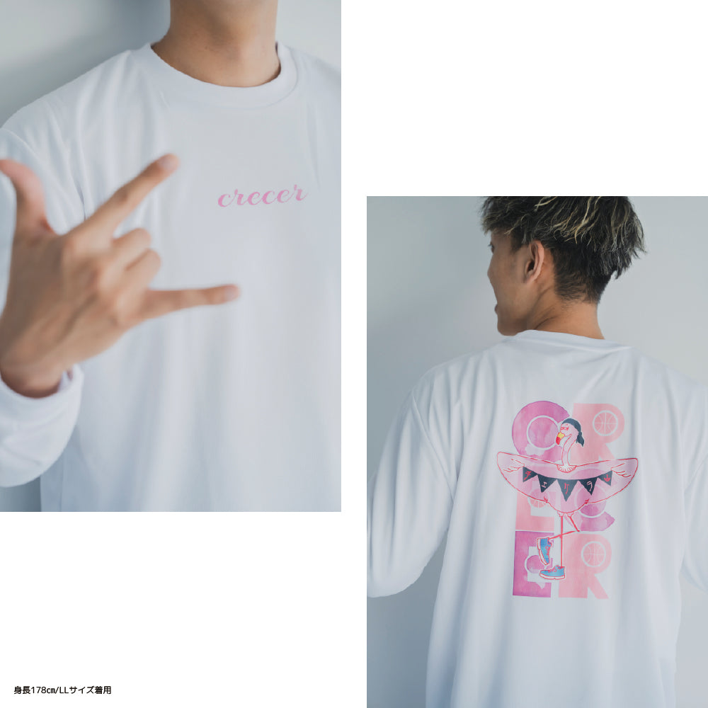 フラミンゴロンT