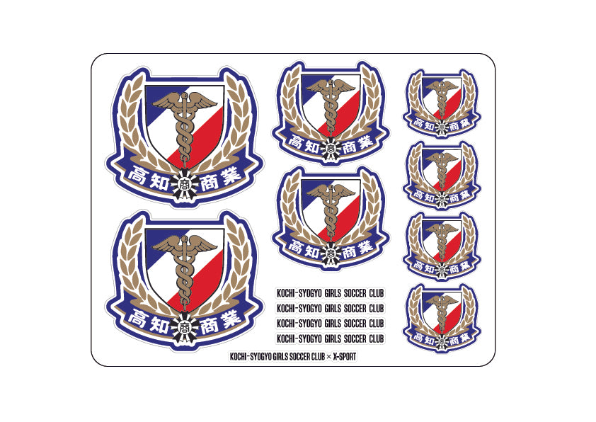 チームステッカー