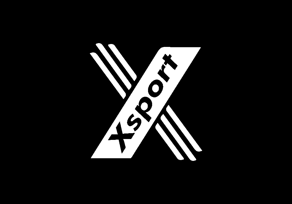 動画を読み込む