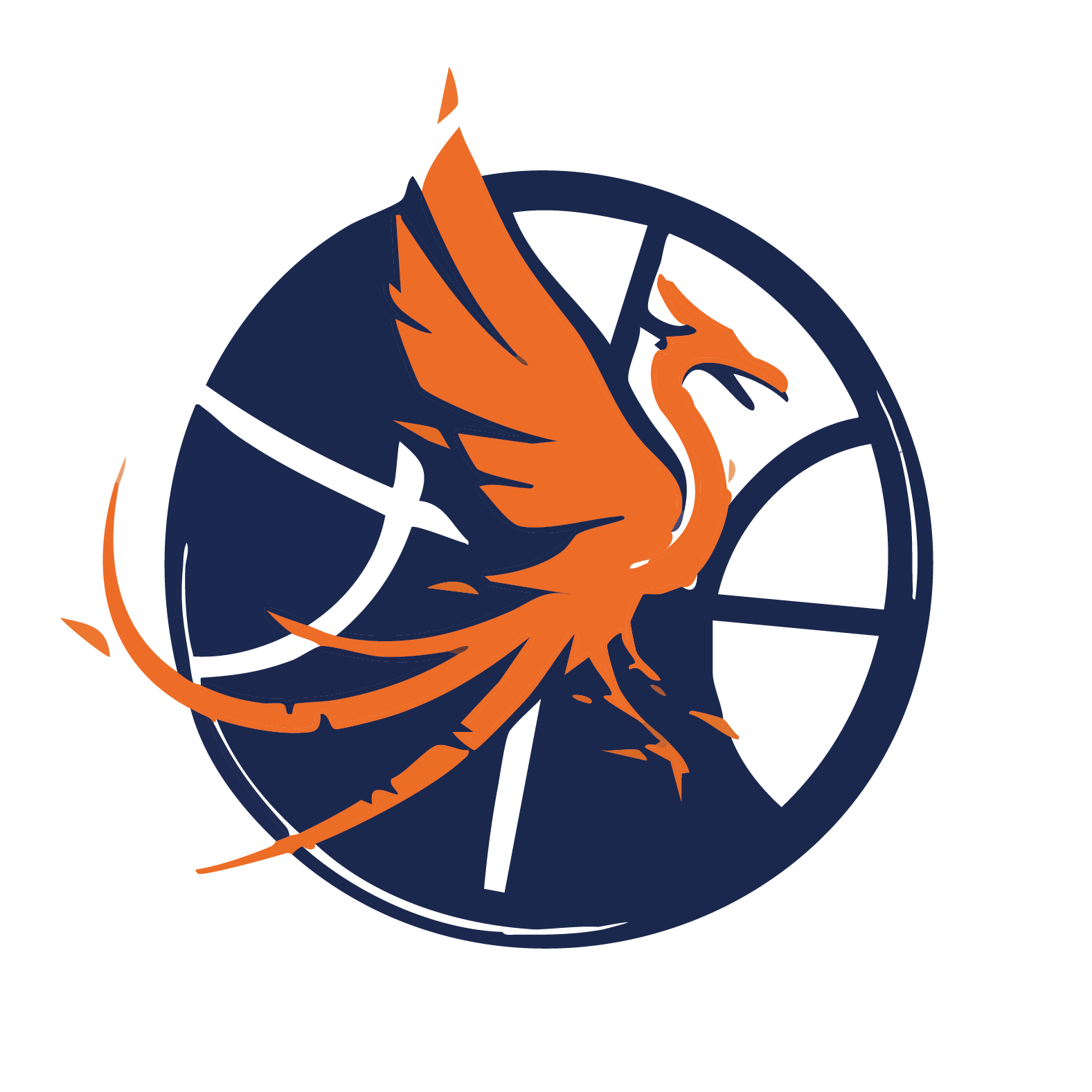 Resilient Hoops