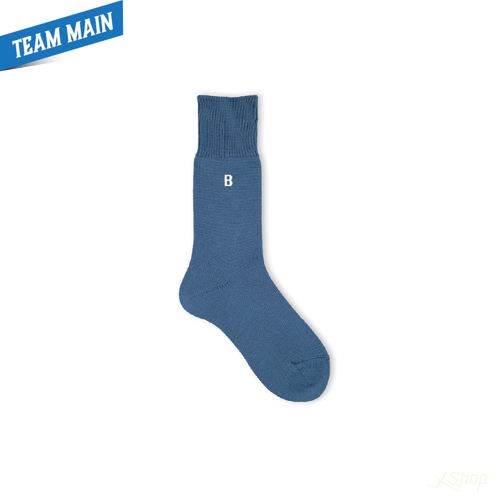 Bロゴソックス