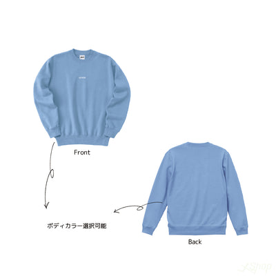 AIDENSミニロゴトレーナー