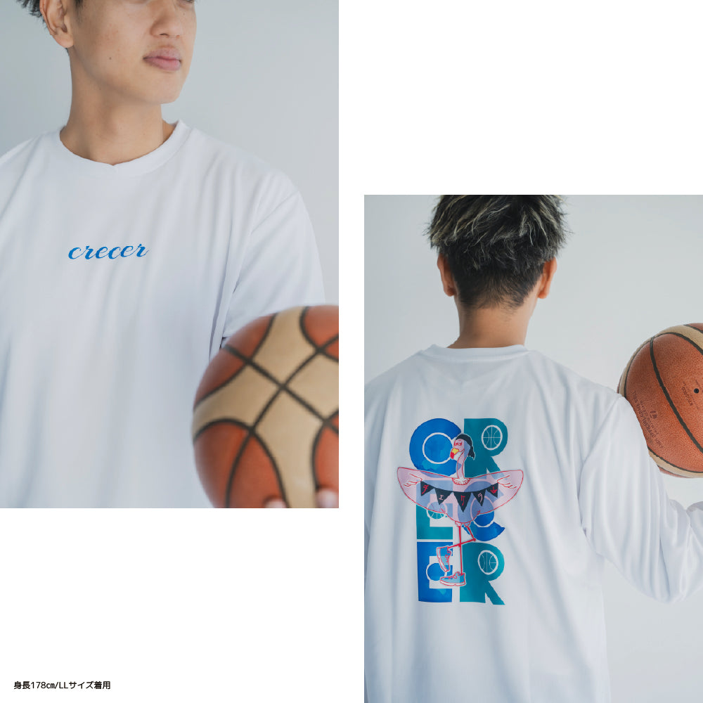 フラミンゴロンT – エックスショップ